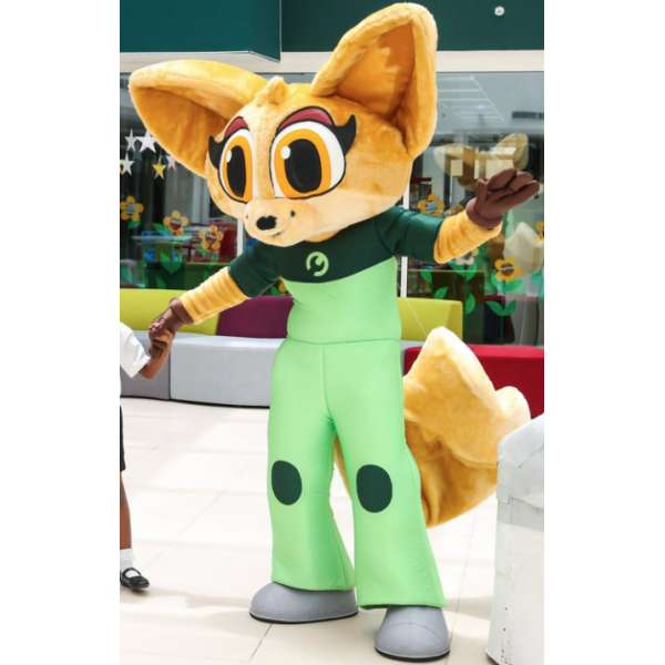 Custom Cartoon Mascot Costume