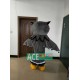 Owl Mascot Costumes