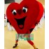 Big Valentine's Heart Mascot Costumes