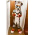 Husky Dog Wolf Fursuit Costumes Animal Mascot for Adults