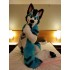 Husky Dog Fursuit Costumes Animal Mascot for Adults
