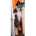 Wolf Dog Fursuit Costumes Animal Mascot for Adults
