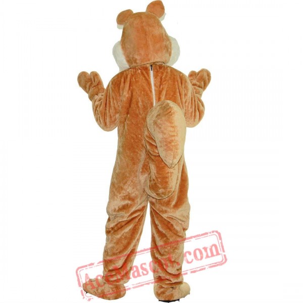 Brown Squirrel Mascot Costume for Adult