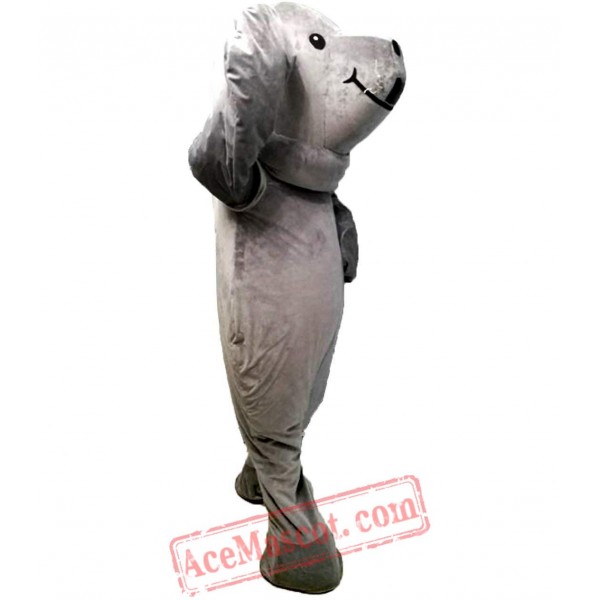 Sea Lions, Walrus Mascot Costume