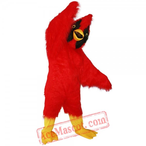 Mascot Red Eagle Bird Mascot Costume