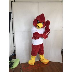 Red Eagle Sport Mascot Costume for Adult