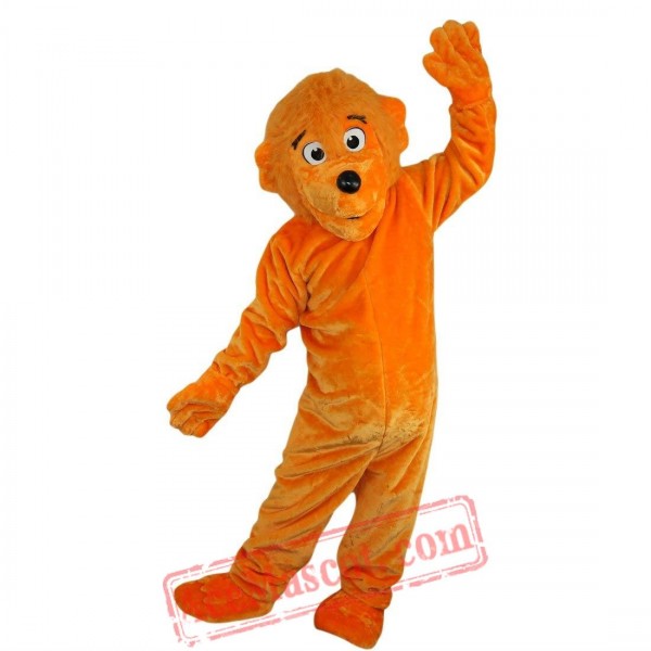 Orange Bear Mascot Costume for Adult