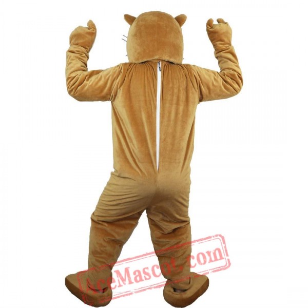 Black Dolphin Mascot Costume for Adult