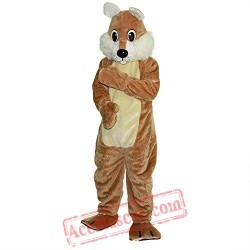 Squirrel Koala Mascot Costume