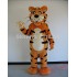 Haven'S Rory The Tiger Mascot Costume