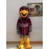Falcon Mascot Hawk / Eagle Mascot Costume