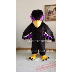 Black Eagle Mascot Hawk / Falcon Mascot Costume