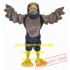 Sport Eagle Falcon Hawk Mascot Costume