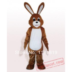 Easter Bunny Bugs Rabbit Mascot Costume