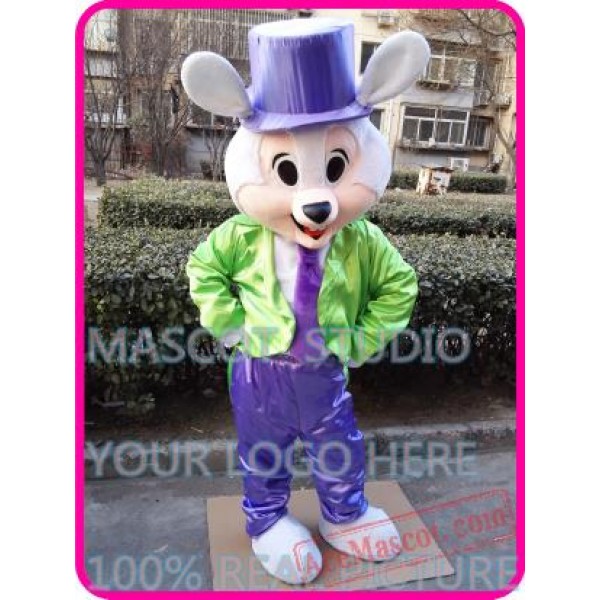 Mr Easter Bunny Rabbit Mascot Costume