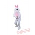 Plush Adult Bunny Rabbit Easter Mascot Costumes