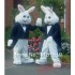 Rabbit Bunny Mascot Costume