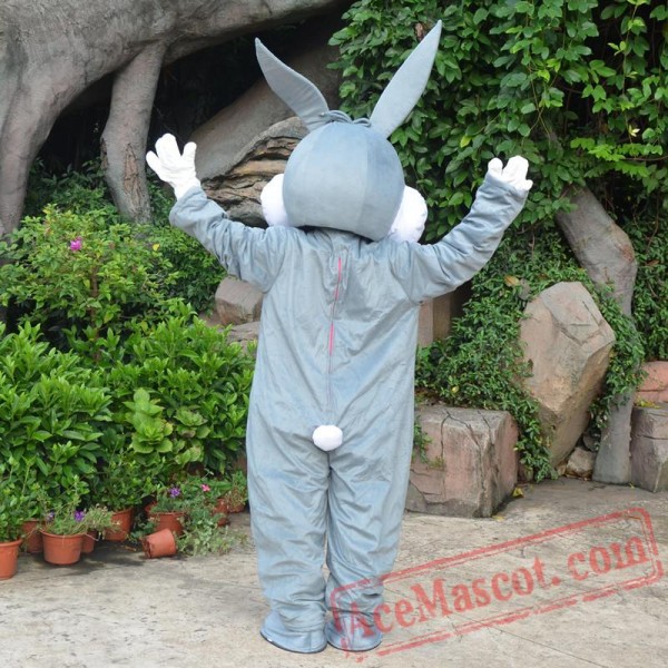 Professional Easter Bunny Mascot Costumes