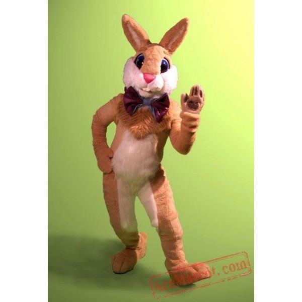 Professional Easter Bunny Mascot Costume