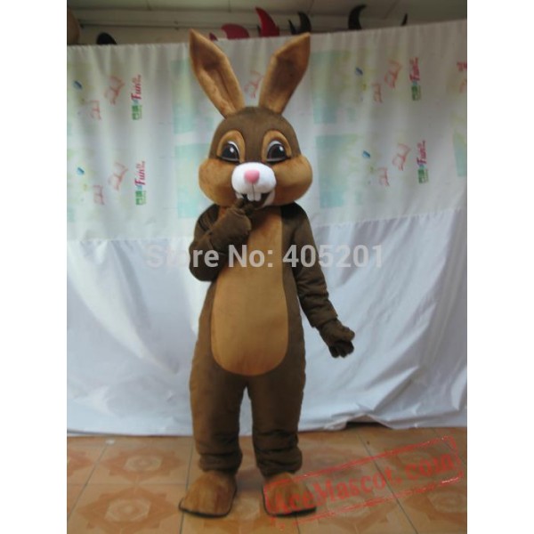Festival Bunny Rabbit Mascot Costume