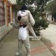 Mr Peabody Sherman Dog Mascot Costume