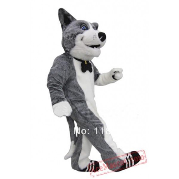 Dog Husky Mascot Costume
