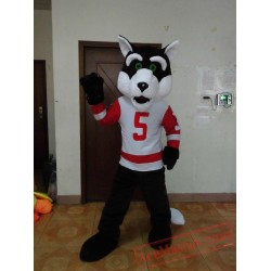 Popular Wolf Mascot Costumes