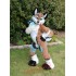 Beautiful Fox Fursuit Mascot Costume