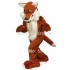 Red Fox Mascot Costume