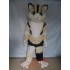 Gray Fox Mascot Costume