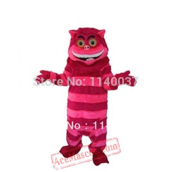 Cat Mascot Costume Cartoon Character