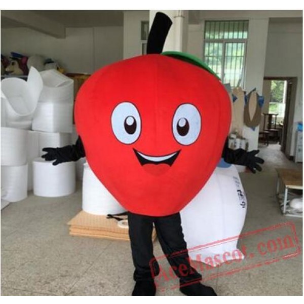 Fruit Apple Cartoon Mascot Costume