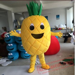 Pineapple Mascot Costume