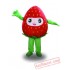 Professional Red Strawberry Fruit Mascot Costume