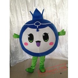 Blueberry Mascot Fruit Costume Suit