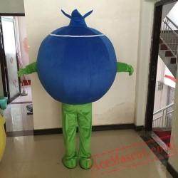 Blueberry Mascot Fruit Costume Suit