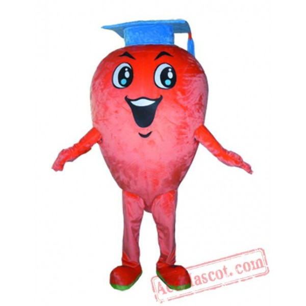 Professional Fruit Mascot Costume