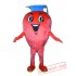 Professional Fruit Mascot Costume