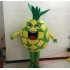 Fruit Pineapple Cartoon Mascot Costume