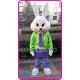 Mr Easter Bunny Mascot Costume Cartoon Character