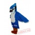Blue Jay Mascot Costume Adult Eagle Costume