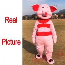 Adult Pig Cartoon Cosplay Costumes Halloween