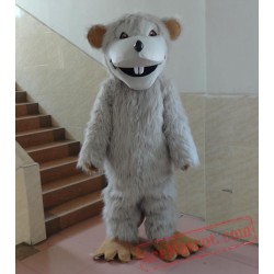 Mouse Gray Cartoon Mascot Costume