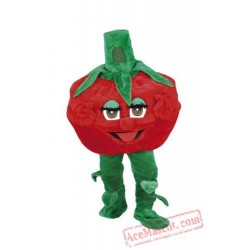 Raspberry Cartoon Character Mascot Costume