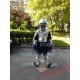 Silver Knight Mascot Costume