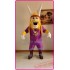 Purple Viking Mascot Costume