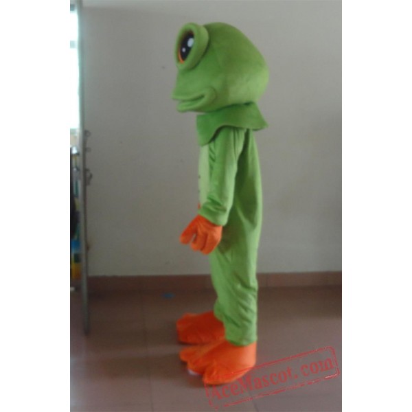 Adult Big Eyes Frog Mascot Costume