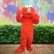 Red Frog Blue Frog Mascot Costume for Adults