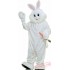 Adult Rabbit Bunny Mascot Costume